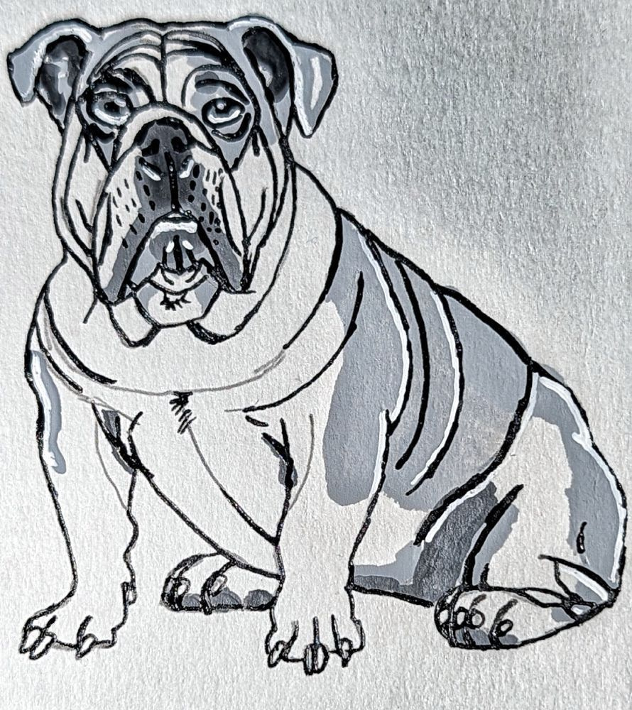 English Bulldog Art Print | Inktober 2026 | The Artistic Shepherd