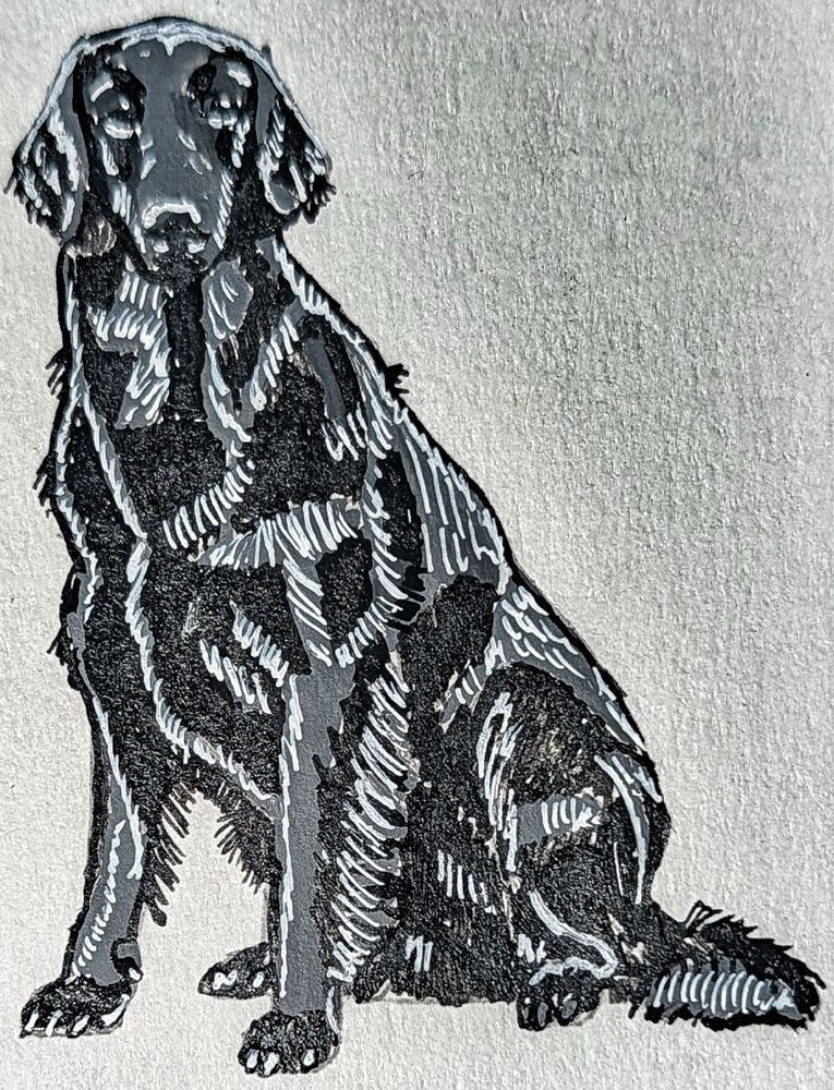 Flat-Coated Retriever Art Print | Inktober 2026