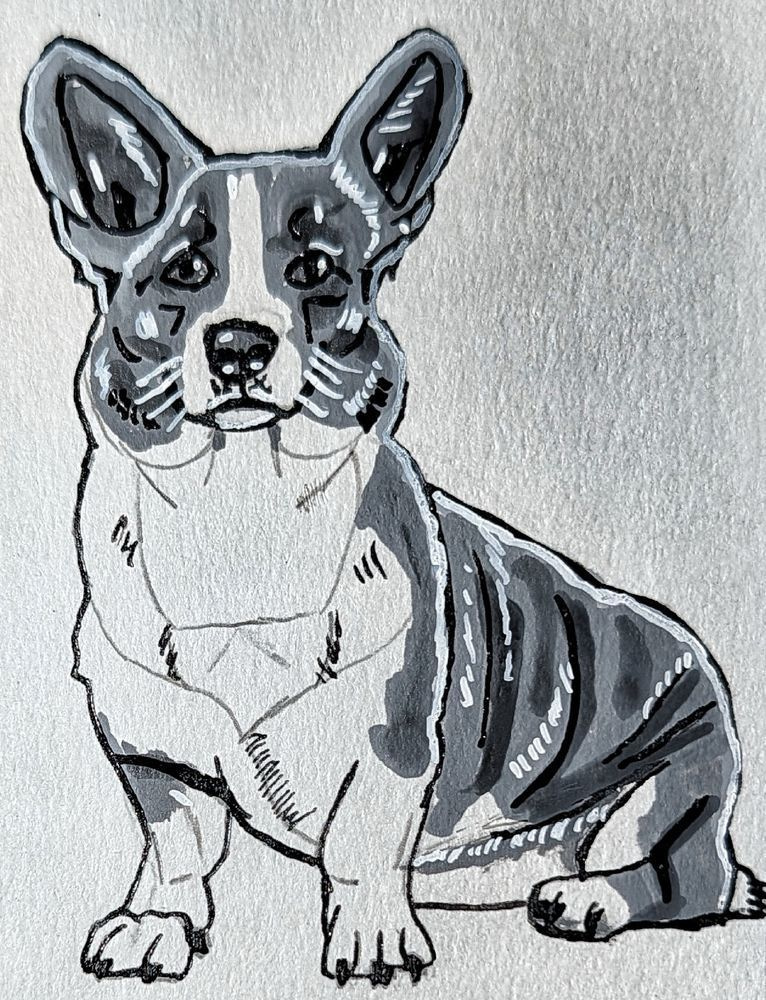Cardigan Welsh Corgi Art Print | Inktober 2026 | The Artistic Shepherd