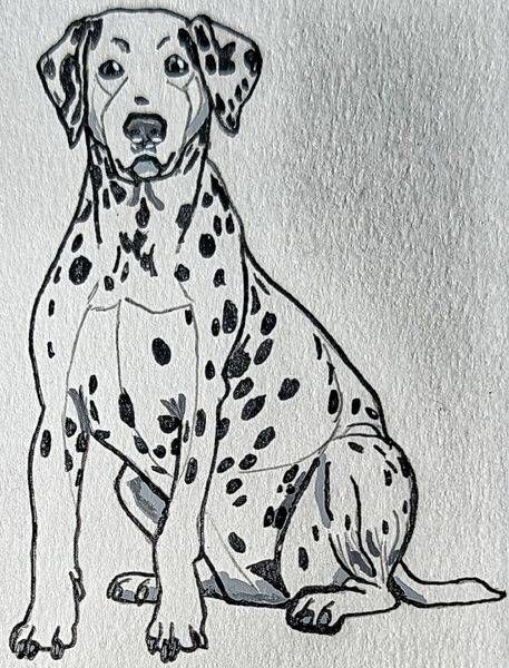 Dalmatian Art Print | Inktober 2026 | The Artistic Shepherd