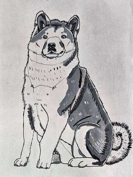 Inktober 2026: A Is for Akita | Akita Inu Art
