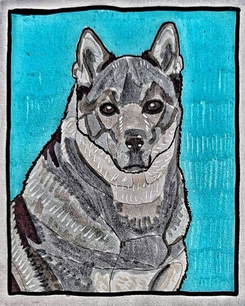 The Steady Jämthund | Swedish Elkhound Dog Art by Justyn Simon