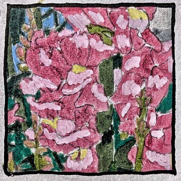 Snapdragon Miniature Study – Pink Botanical Mixed Media Art by Justyn Simon