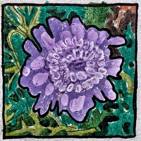 Scabiosa Miniature Study – Purple Botanical Mixed Media Flower Artwork by Justyn Simon