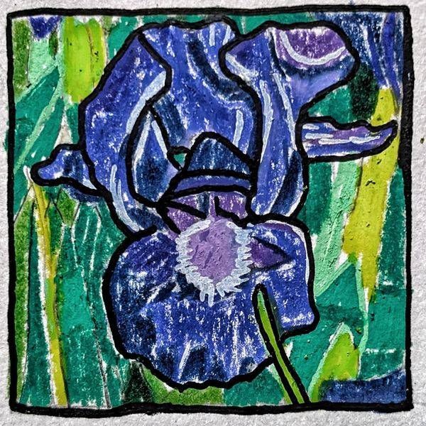Bearded Iris Miniature Study by Justyn Simon