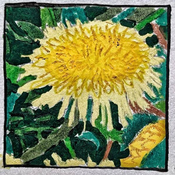 Dandelion Miniature Study | Botanical Wildflower Art by Justyn Simon