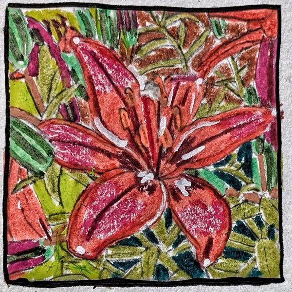 Asiatic Lily Miniature Study | Botanical Flower Art Print by Justyn Simon