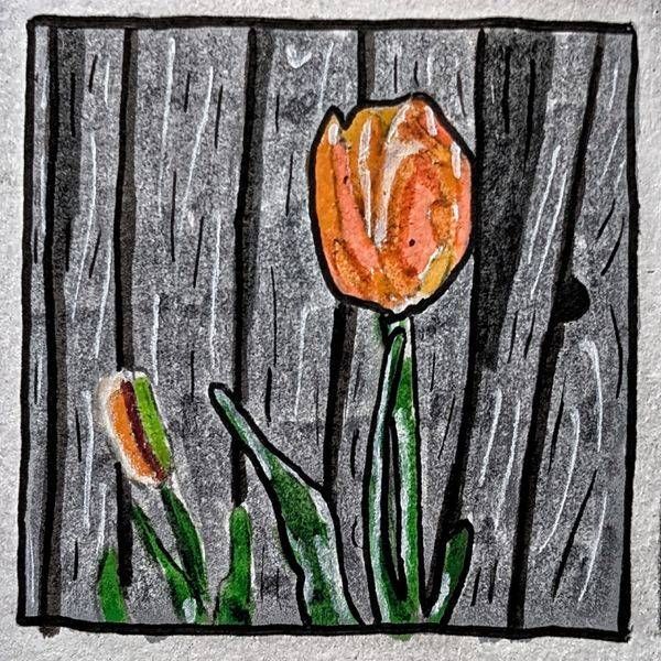 Tulip Miniature Study | Botanical Tulip Artwork by Justyn Simon