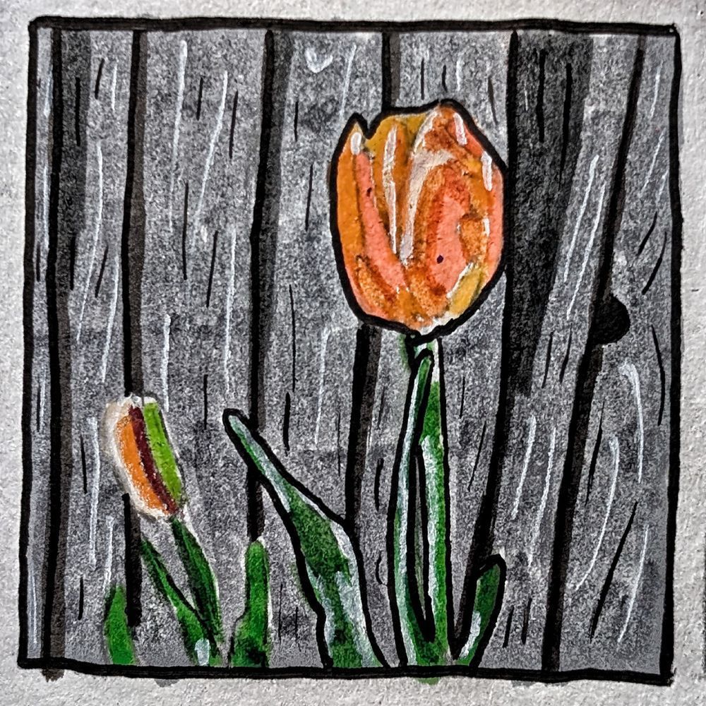 Tulip Miniature Study | Botanical Tulip Artwork by Justyn Simon