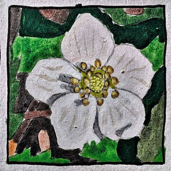 Strawberry Blossom Miniature Study | Blooming Marvelous May Botanical Art