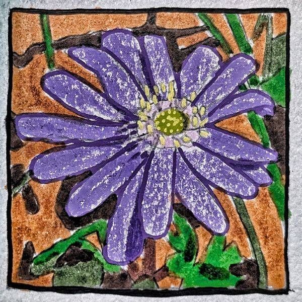 Anemone Blanda Miniature Study | Purple Botanical Flower Art by Justyn Simon