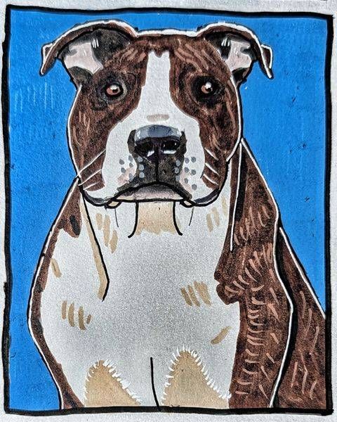 The Resolute AmStaff | American Staffordshire Terrier Art Print