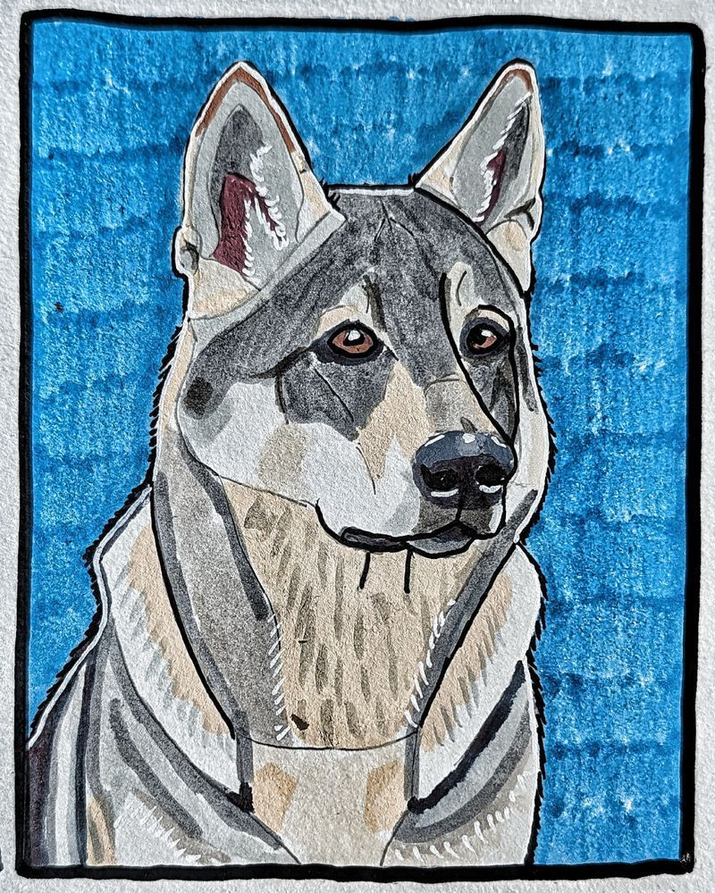 The Vigilant Wolfdog | Czechoslovakian Wolfdog Art Print