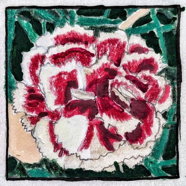 Carnation Miniature Study – Floral Botanical Artwork by Justyn Simon