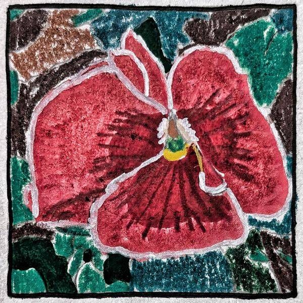 Pansy Miniature Study – Floral Botanical Artwork by Justyn Simon