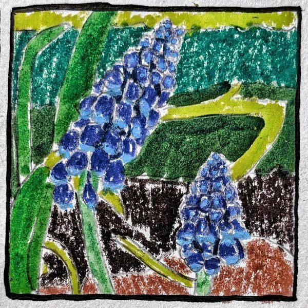 Grape Hyacinth Miniature Study – Botanical Floral Art by Justyn Simon