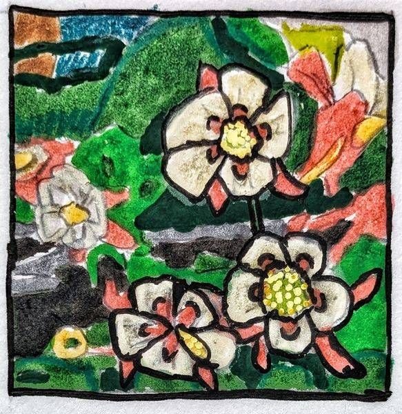 Blooming Columbine Miniature Flower Art Print by Justyn Simon