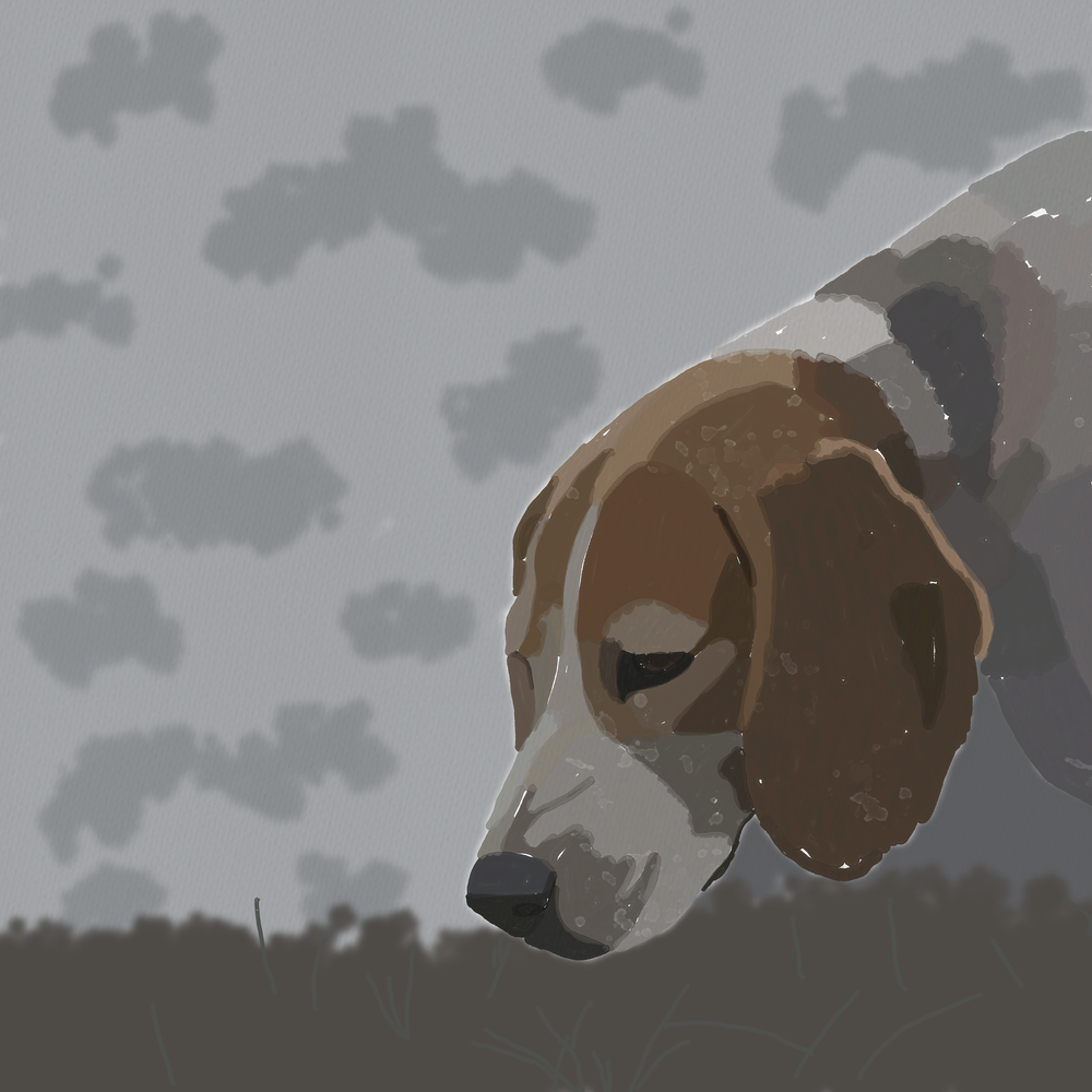 Beneath the Dense Fog – Atmospheric Dog Art Print