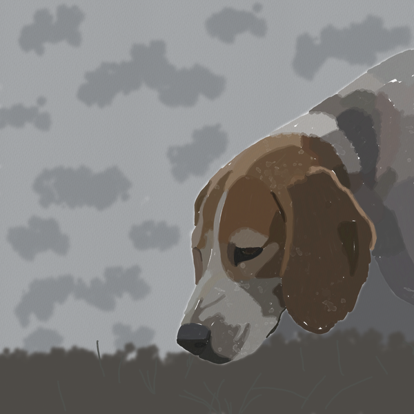 Beneath the Dense Fog – Atmospheric Dog Art Print