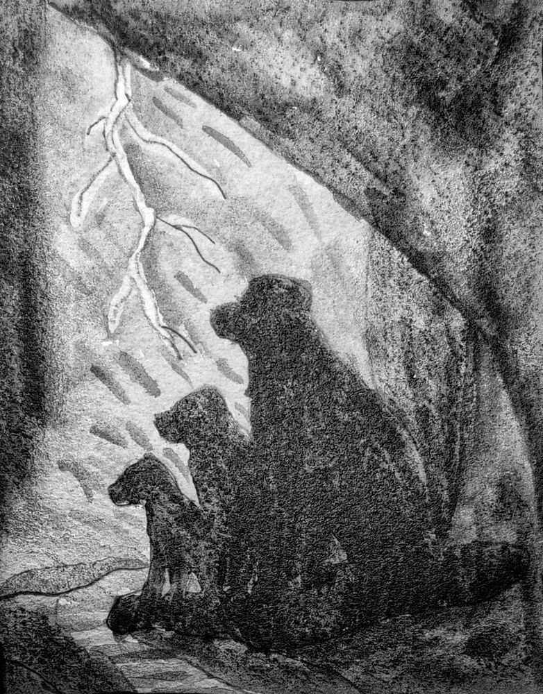 Shadows Beneath the Storm | Graphite Mixed Media Dog Art Print