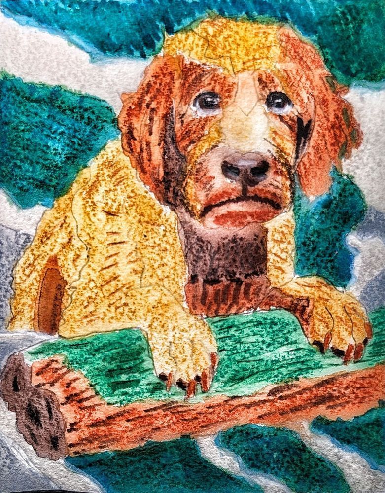 Pulled from the Current – Labradoodle Fantasy Dog Art | Barker’s of Ruin