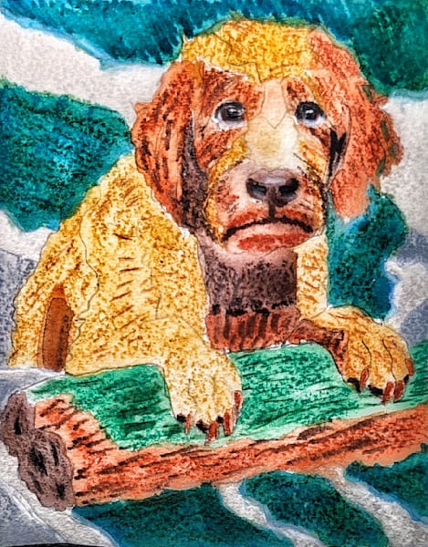 Pulled from the Current – Labradoodle Fantasy Dog Art | Barker’s of Ruin