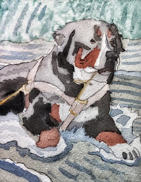 Wading Forward  Bernese Mountain Dog Watercolor Art Print