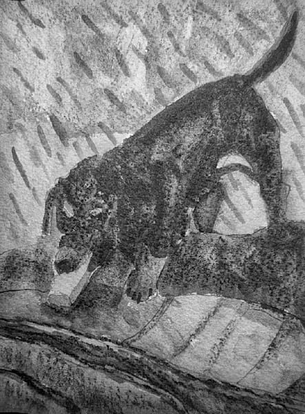 Dachshund in the Mud Art Print