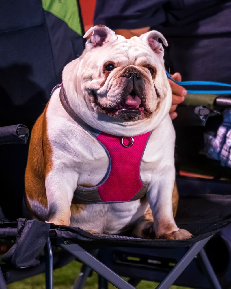 Dsc9530 Copy Photography Art | Bryce Giesmann Fine Arts