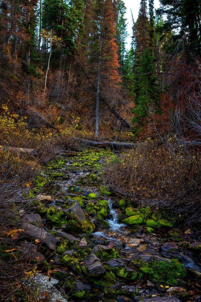 Dsc8322 Pano Copy Photography Art | Bryce Giesmann Fine Arts