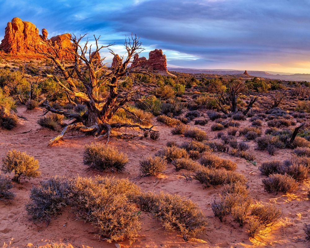 Dsc8266 Pano Copy Photography Art | Bryce Giesmann Fine Arts