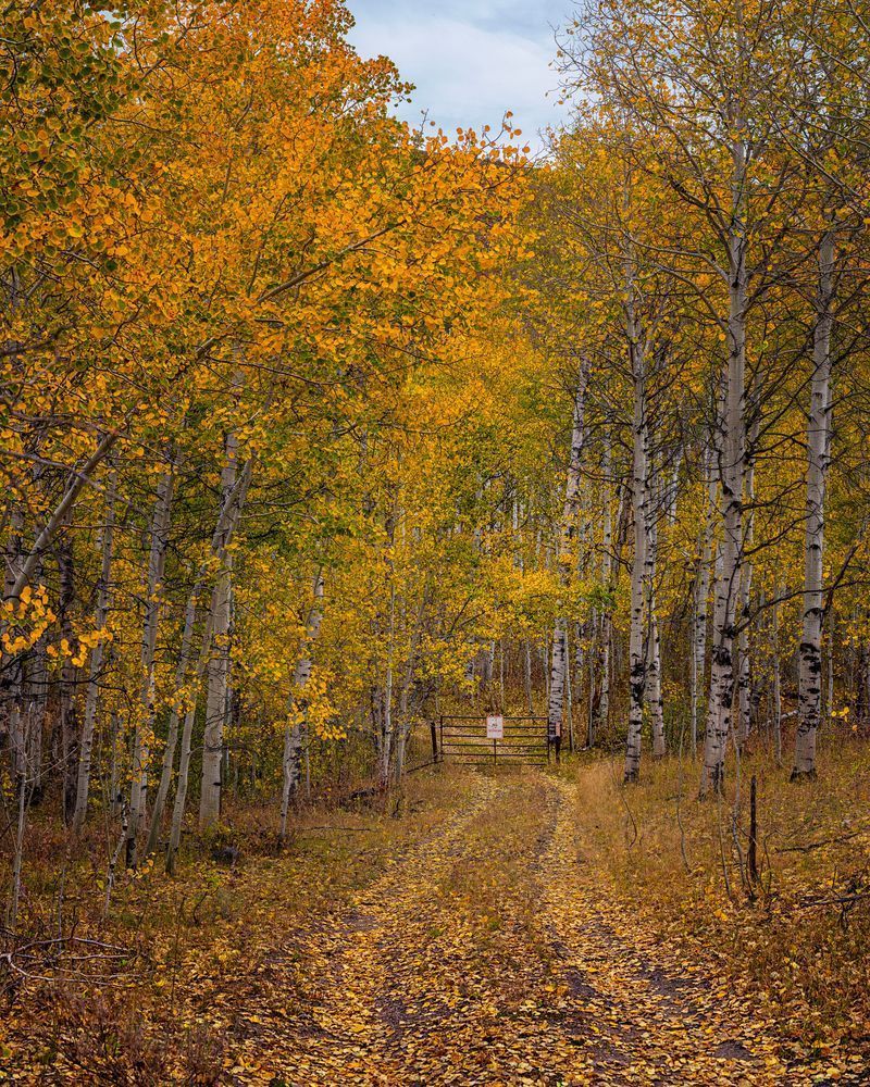 No Trespassing   End Of The Road Photography Art | Bryce Giesmann Fine Arts