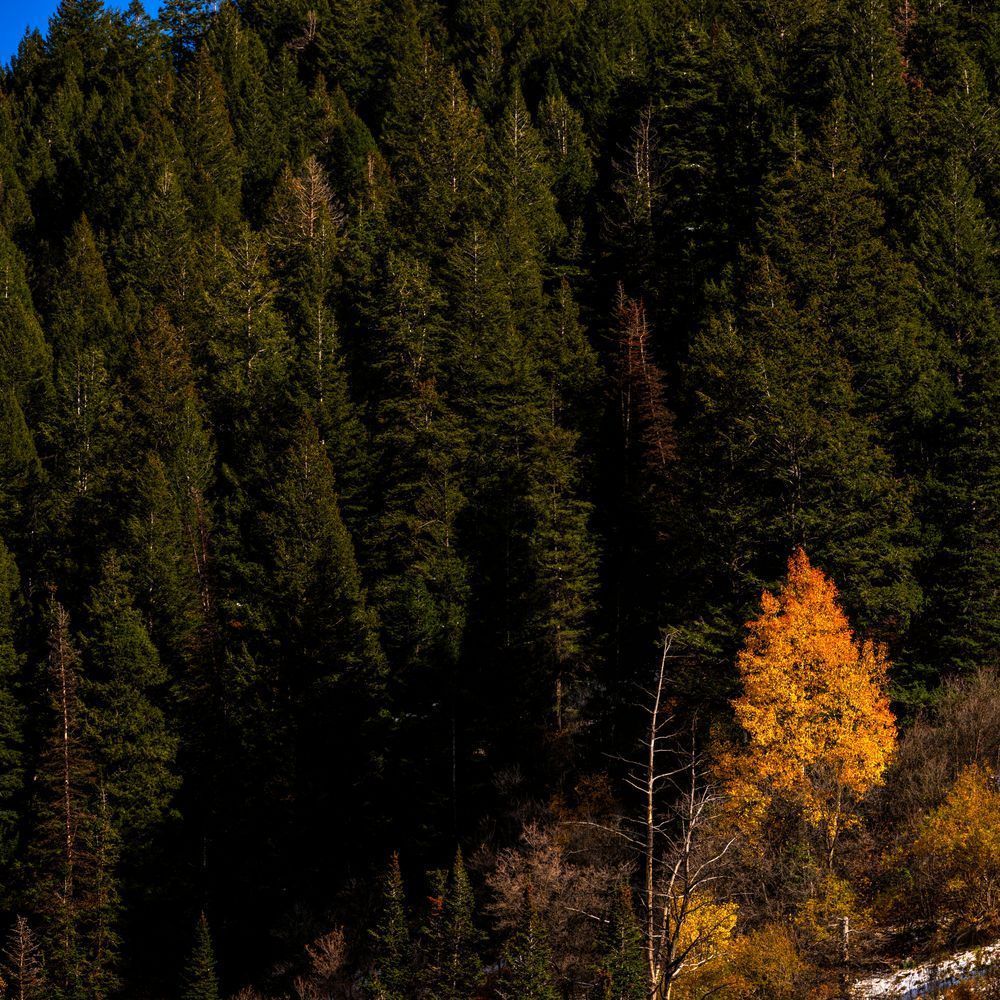 Dsc7733 Pano Copy Photography Art | Bryce Giesmann Fine Arts