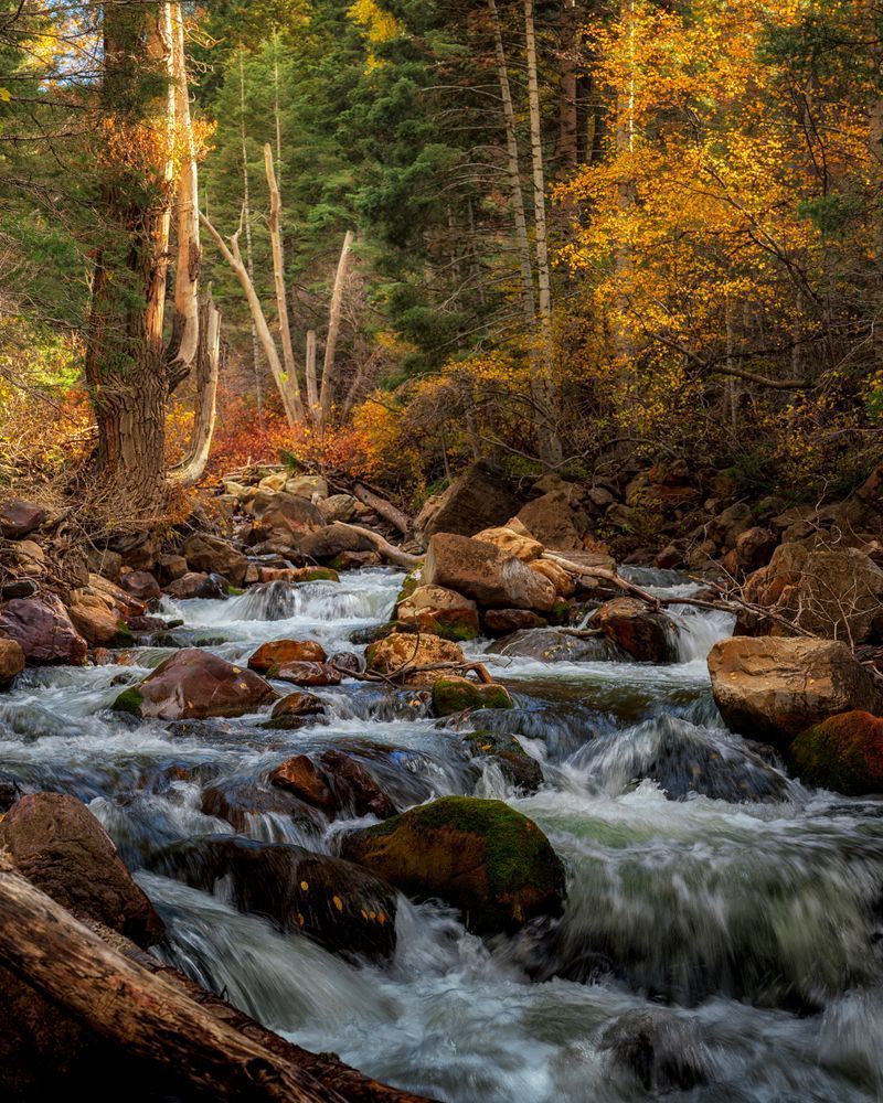 Dsc7670 Pano Copy 2 Photography Art | Bryce Giesmann Fine Arts