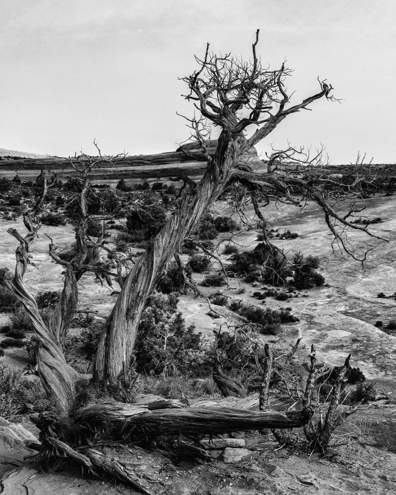 Dsc7510 Pano Copy Bw Photography Art | Bryce Giesmann Fine Arts