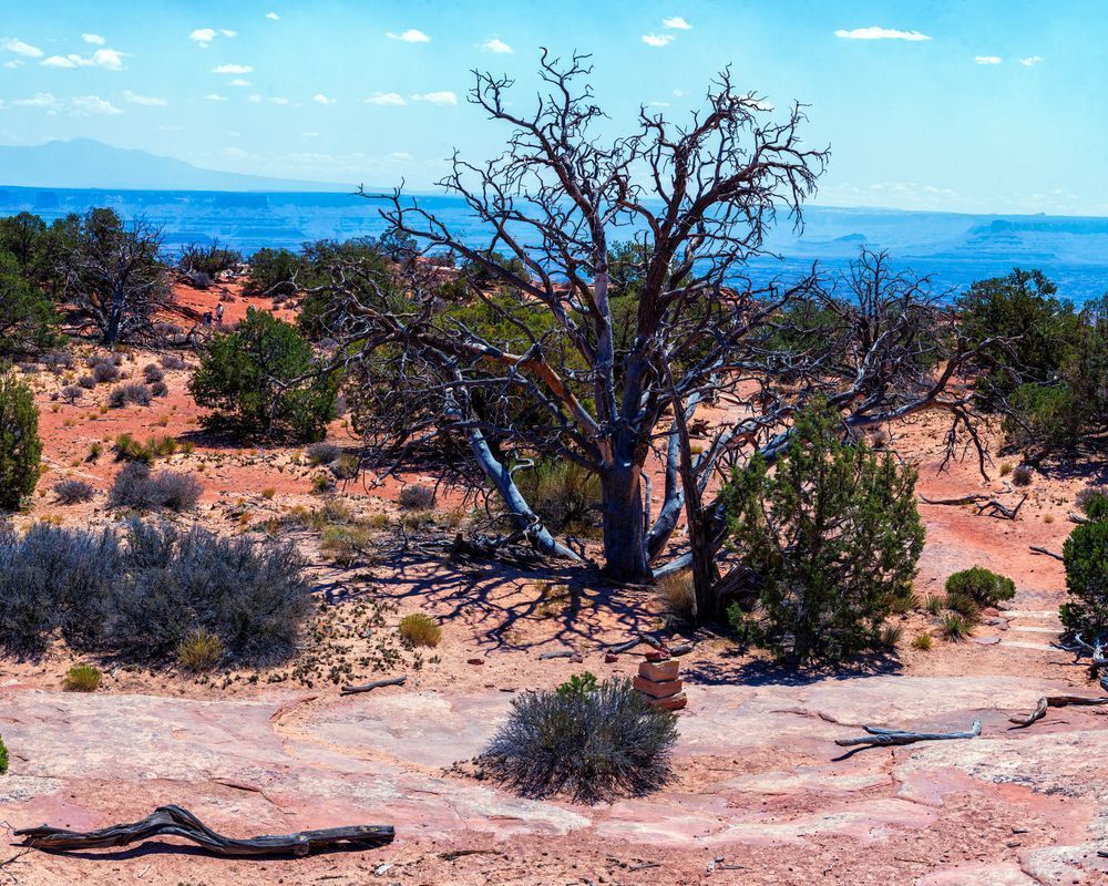 Dsc7923 Pano Copy Photography Art | Bryce Giesmann Fine Arts