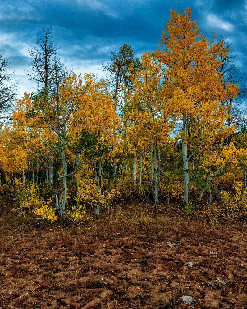 Dsc4151 Pano Copy 2 Photography Art | Bryce Giesmann Fine Arts