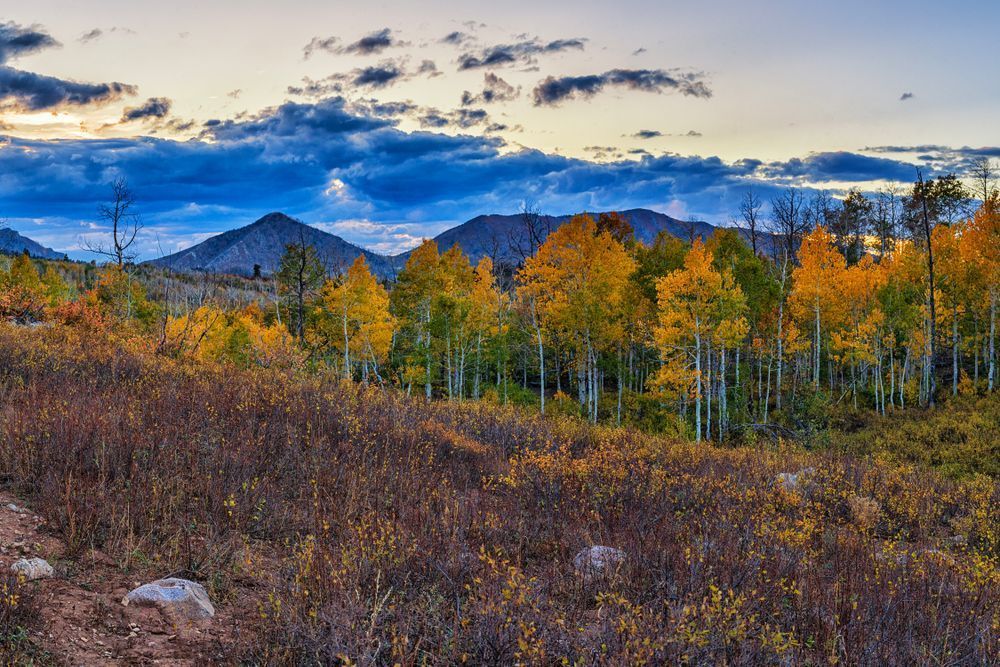 Dsc4157 Pano Copy 2 Photography Art | Bryce Giesmann Fine Arts