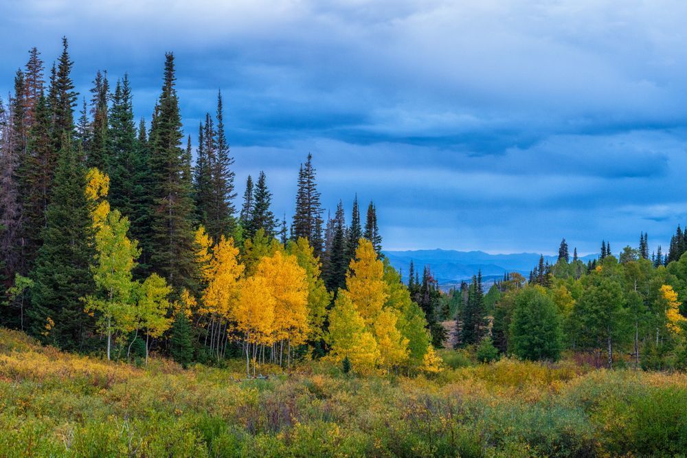 Dsc0551 Pano Copy Photography Art | Bryce Giesmann Fine Arts