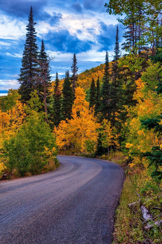 Dsc0470 Pano Copy Photography Art | Bryce Giesmann Fine Arts