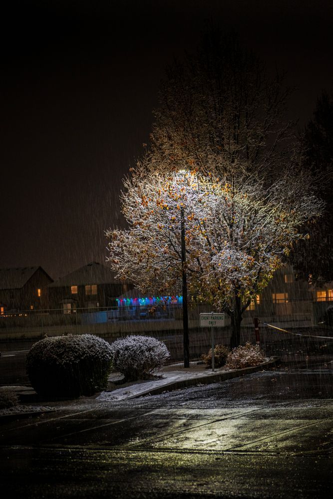 Dsc0831 Copy Photography Art | Bryce Giesmann Fine Arts