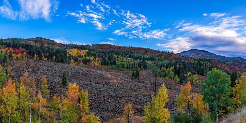 Dsc0872 Pano Copy 2 Photography Art | Bryce Giesmann Fine Arts