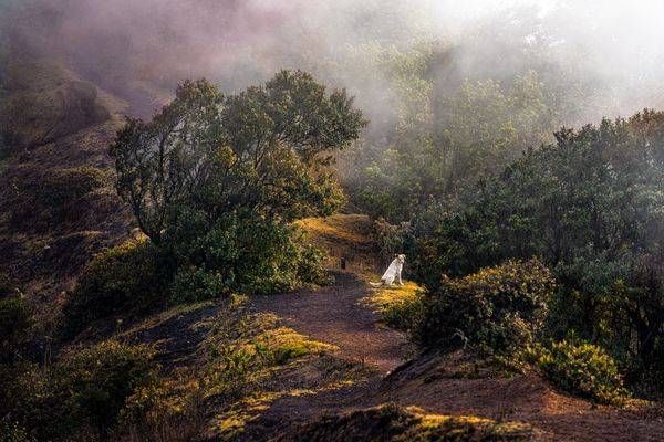 Pathfinder In The Mist Photography Art | Jon Hedin Photography