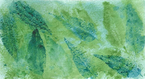 Florida Fall Art | Allyson J Thomas Art