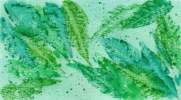 Florida Fall 2 Art | Allyson J Thomas Art