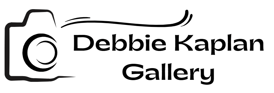 debbiekaplanphotography
