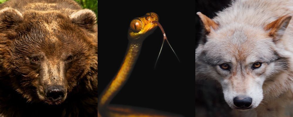 
        <div class='title'>
          combine images
        </div>
       