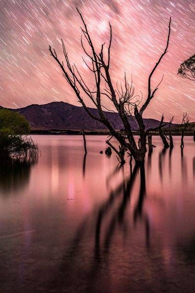 Life and Death | Fine Art Landscape Photography