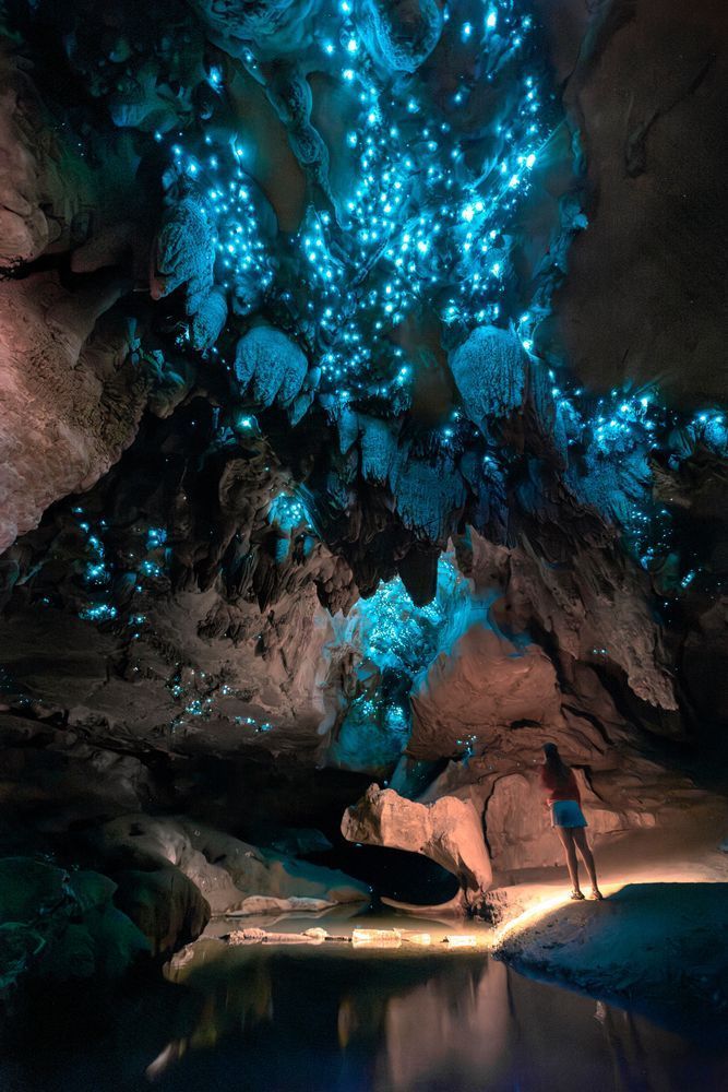 Glowworm Cathedral | New Zealand Cave Photography