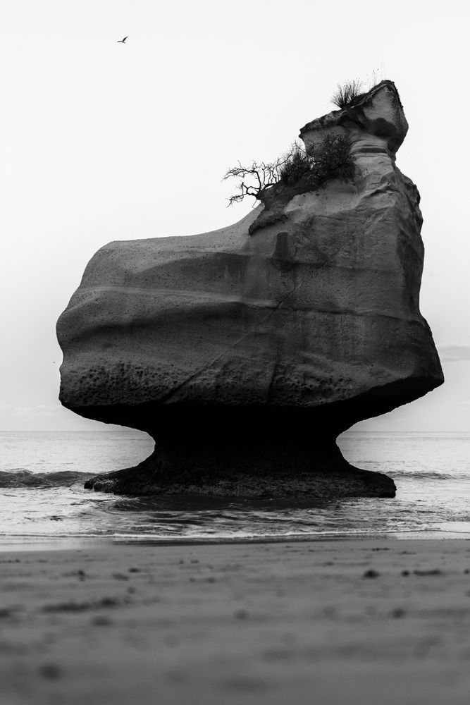 Pedestal Photography Art | Judd Sather Photography